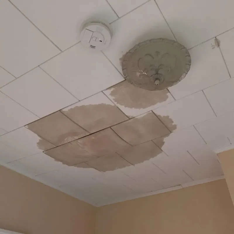 Ceiling Water Damage Repair in City of Colonial Heights, VA