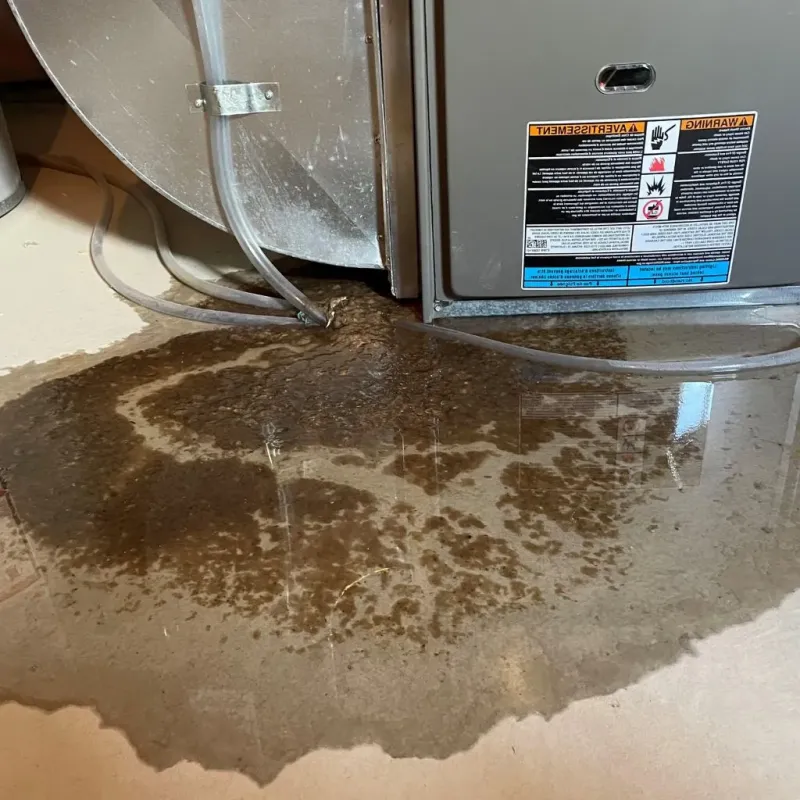 Pipe Burst and Leak Restoration in City of Colonial Heights, VA