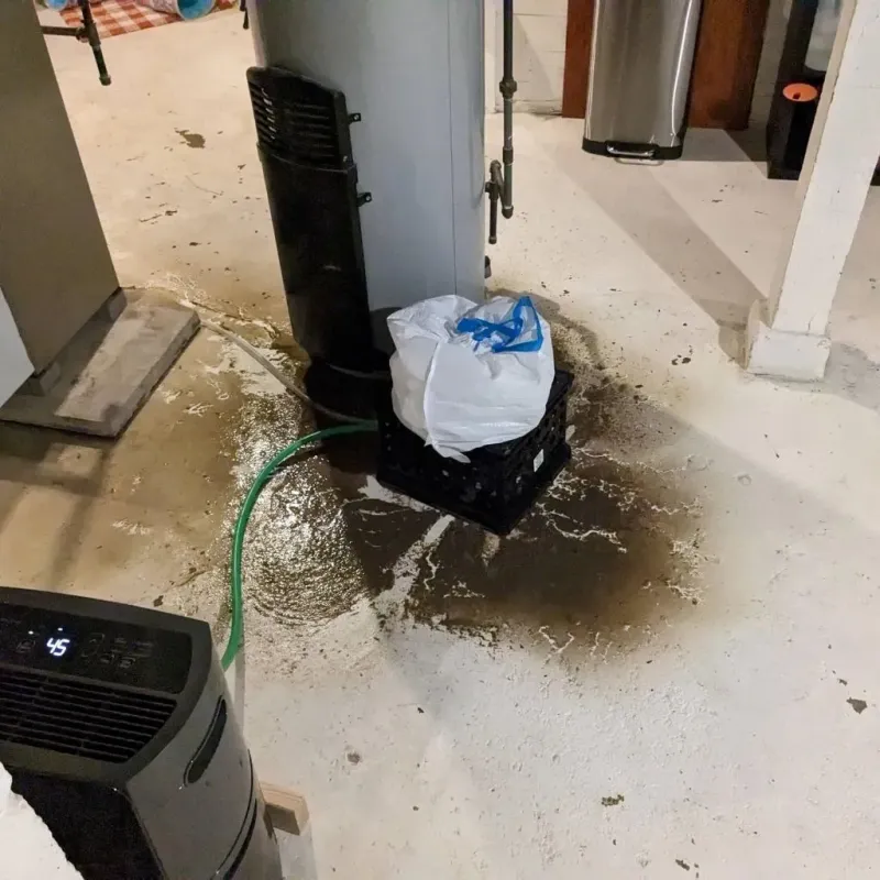 Sewage Backup Cleanup Service in City of Colonial Heights, VA